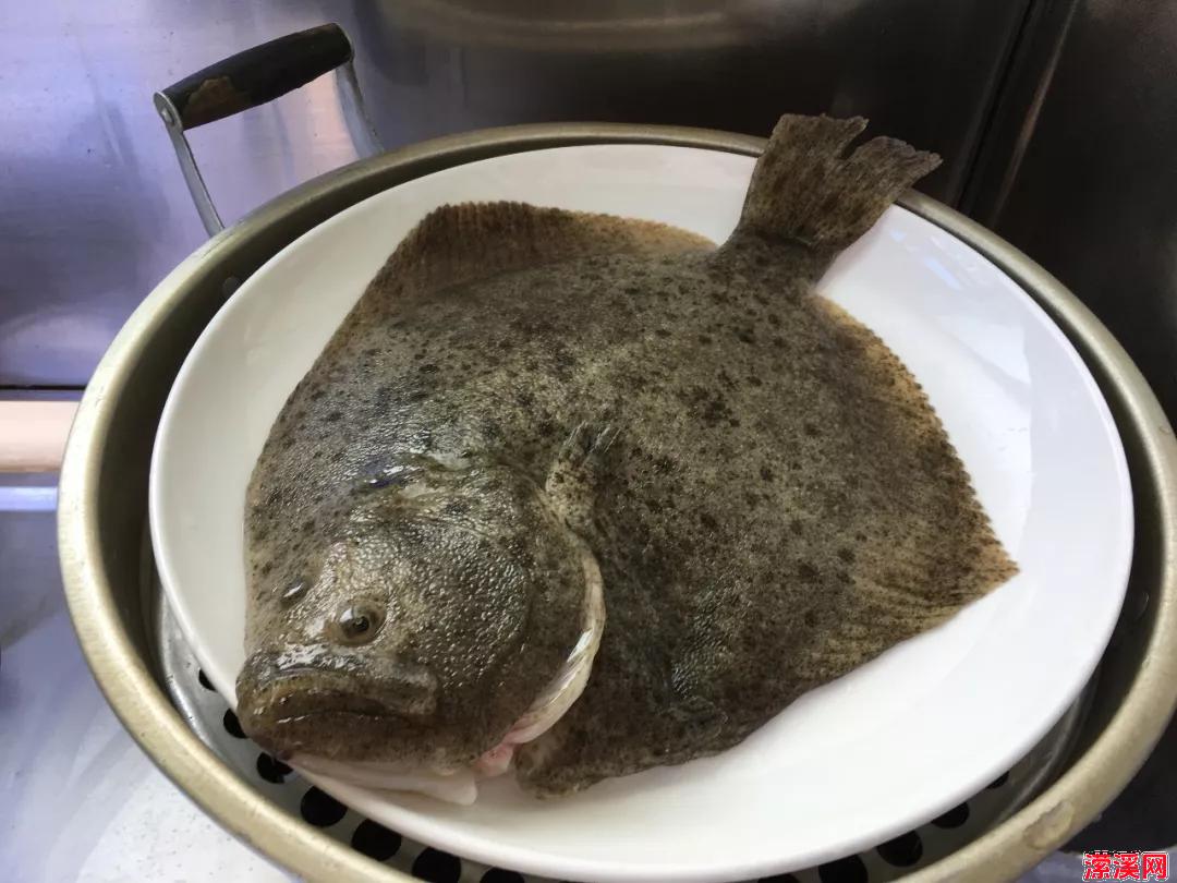 详细阅读:清蒸多宝 多宝鱼营养价值很高 清蒸多宝 多宝鱼营养价值很高