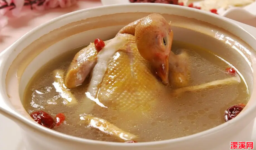 鸽子汤怎么炖好喝又有营养，鸽子汤怎么炖用什么料才好吃