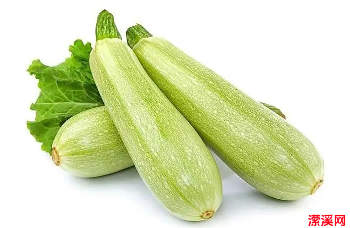 角瓜的家常做法大全，教你正确的西葫芦饼的做法