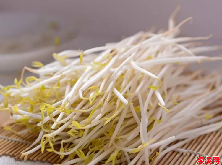 吃了20年的豆芽，原来发豆芽这么简单！牢记3个要点，5天就能吃