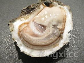 做汤圆的过程怎么写,做汤圆的过程