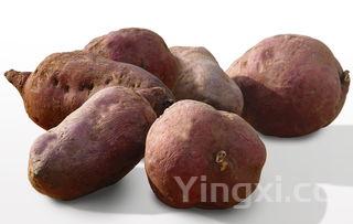 荸荠的吃法和做法视频，荸荠的吃法和做法