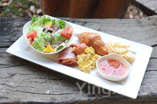 儿童营养早餐的做法大全,儿童营养早餐怎么做?