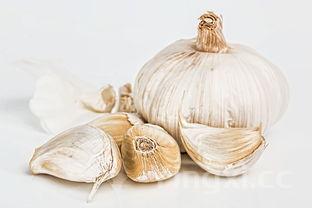 猪肚鸡煲怎么做好吃又好看，猪肚鸡煲的制作方法及配料