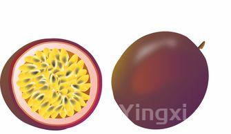 莲子,莲子的吃法和做法