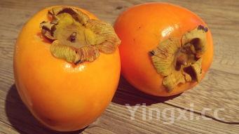 蜜汁炖鱿鱼全部,蜜汁炖鱿鱼第一次详细