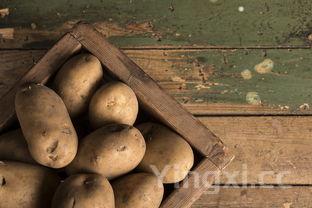 黄豆要泡多久,黄豆要泡多久才能打豆浆