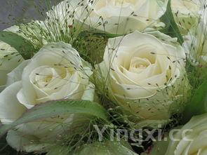 清蒸鲟鱼的做法,清蒸鲟鱼的做法简单又好吃