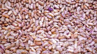 白酒里加此物竟能不头晕?快来一探究竟!