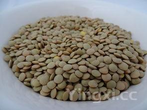 茯苓的功效与作用及禁忌，茯苓的功效