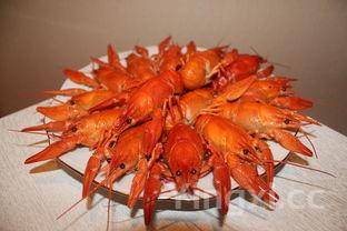 麻辣龙虾的做法步骤简单,麻辣龙虾的做法步骤简单