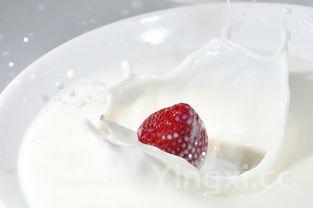 如何用纯牛奶制作酸奶，怎么用纯牛奶制作酸奶