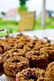 太子参的功效与作用主要治什么病,太子参的功效与作用