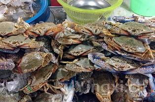 什么螃蟹好吃又便宜，海螃蟹怎么做好吃