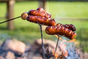 鸡翅，鸡翅木是什么木