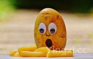 椒盐小土豆适合减肥吗,椒盐小土豆的最正宗做法