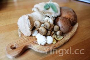 蘑菇种类大全东北蘑菇的种类大全