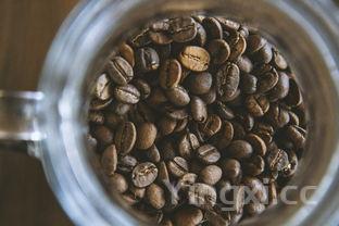 马齿苋吃了对身体有啥好处,千万别吃马齿苋