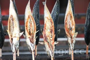 大黄鱼多少钱一斤,15斤大黄鱼多少钱一斤