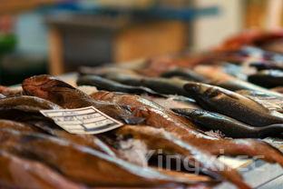 章鱼小丸子连锁加盟,章鱼小丸子加盟费800