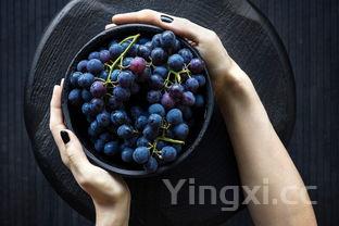 葡萄酒的制作方法自酿,葡萄酒的制作方法自酿全过程