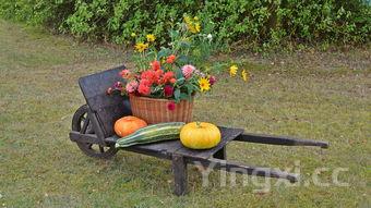 台湾饭团吃法，台湾饭团的做法