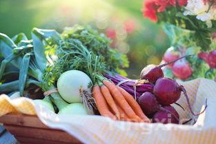 西瓜皮如何做才好吃，西瓜皮怎么做好吃又脆