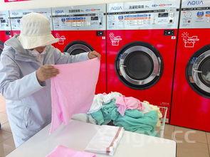 东菱全自动面包机食谱,东菱面包机配套食谱