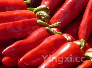 金昌鱼的功效与作用,金昌鱼