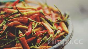 青辣椒怎么做才能又辣又香又脆，青辣椒怎么样好吃又脆