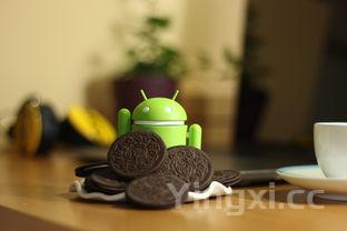 凉拌凉皮的作法,凉拌凉皮的做法