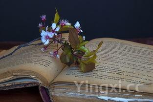 包粽子的过程详细,包粽子的过程有几个步骤