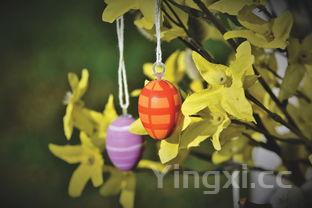 红烧海参的家常做法视频,红烧海参简单做法步骤