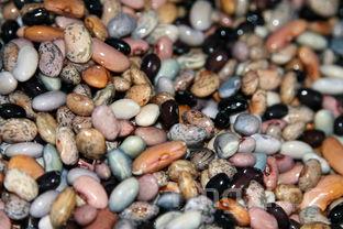 五谷杂粮养生粥，五谷杂粮养生粥哪个品牌好