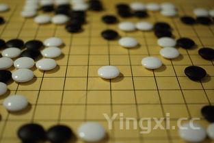 一日三餐的营养标准搭配表,一日三餐营养合理搭配表