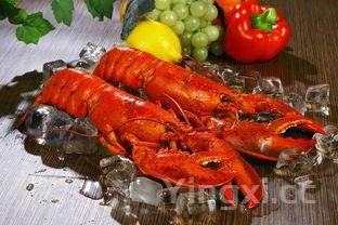 小龙虾吃什么食物家养，小龙虾吃什么食物好养活