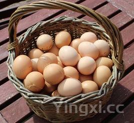 腌笃鲜,他们叫腌笃鲜，请上海朋友回答这是什么意思和它的来历