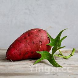 怎样泡制糖醋大蒜头窍门,泡糖醋大蒜的制作方法