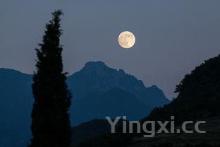 高压锅使用十大禁忌有哪些,高压锅使用十大禁忌