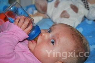 韩国拜迪蕾娜红酒木瓜靓汤,拜迪蕾娜化妆品