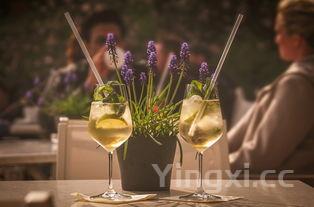 在家酿白酒的详细步骤与要点，轻松开启自酿酒之旅