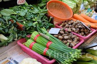 可乐鸡翅的做法视频教程完整版,可乐鸡翅的做法家常