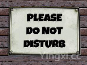 家庭版绿豆芽怎么发,豆芽怎么发