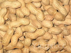 凉拌笋丝的做法大全,凉拌笋丝的做法大全图片