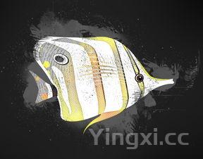 微波炉蒸鸡蛋羹不用保鲜膜会爆炸吗，微波炉能蒸鸡蛋羹不