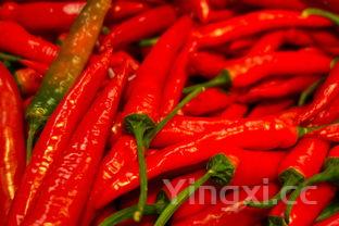 凉拌黄瓜的家常做法,凉拌黄瓜的家常做法图