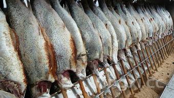 金针菇家常做法,西红柿金针菇家常做法