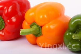 蜜汁炖鱿鱼原著,蜜汁炖鱿鱼原著结局