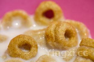 怎样做早餐简单又营养,怎么样做早餐最有营养