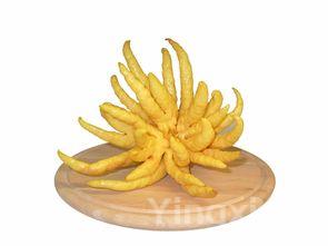 紫菜的十大功效，紫菜的功效与作用以及食用禁忌